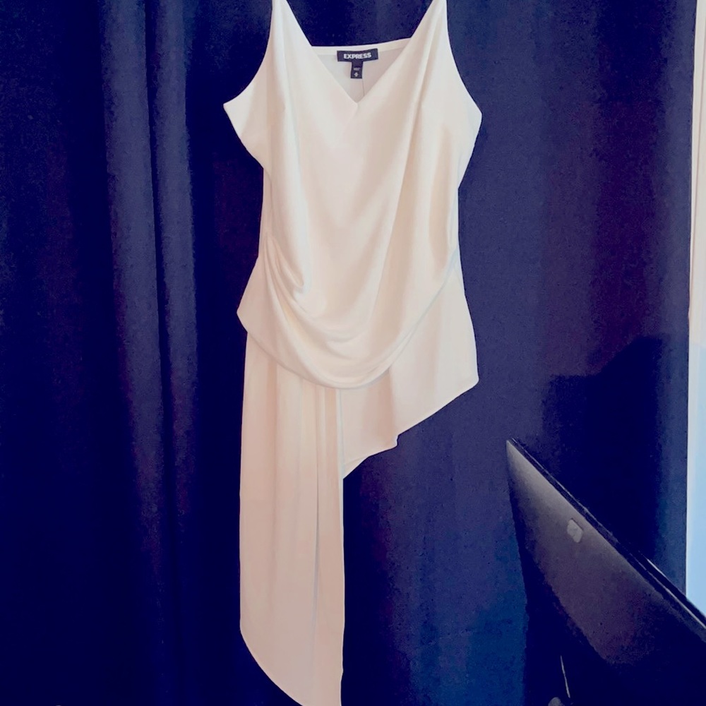 Express Dressy Top